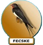 fecske