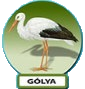 gólya